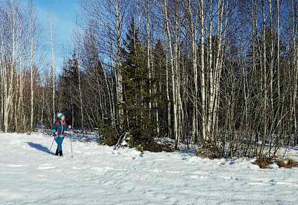 Winterwandern in der schneebedeckten Landschaft im Salzburger Pongau