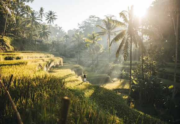 Tropen-Idylle in Indonesien