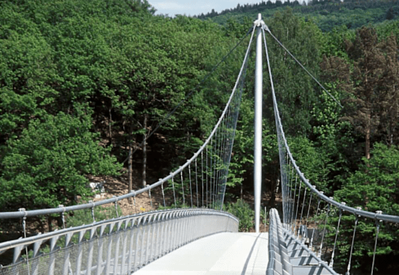 Leichte und landschaftlich wunderschöne Rundwanderung im Nationalpark Eifel in Nordrhein-Westfalen.