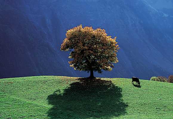 Kanton Uri Herbst