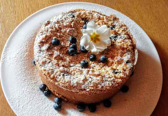 Frisch gebackener Heidelbeer-Käsekuchen von der Franz-Fischer-Hütte