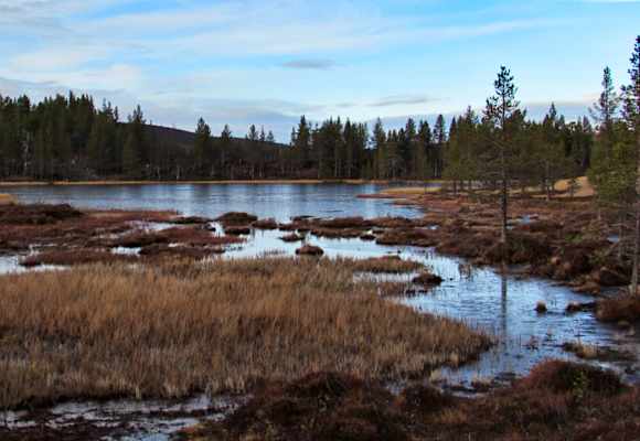 Wandern in Lappland
