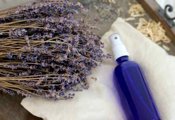 Lavendelöl mit firschem Lavendel