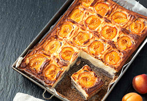 Topfen-Mohn-Marillen-Kuchen