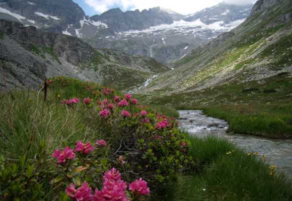 Das Zillertal - hier mitten im Hochgebirgsnaturpark Zillertaler Alpen