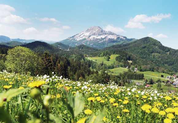 Der Ötscher im Frühling