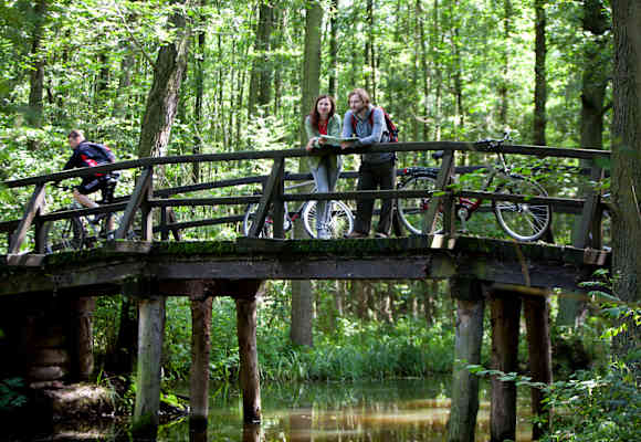 Fahrtwind Brandenburg Radfahren