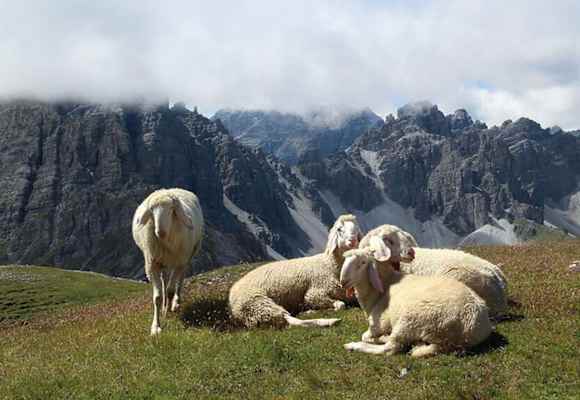 Die Saile ist ein janusköpfiges „Bergwahrzeichen“ zwischen Innsbruck und dem Stubai.