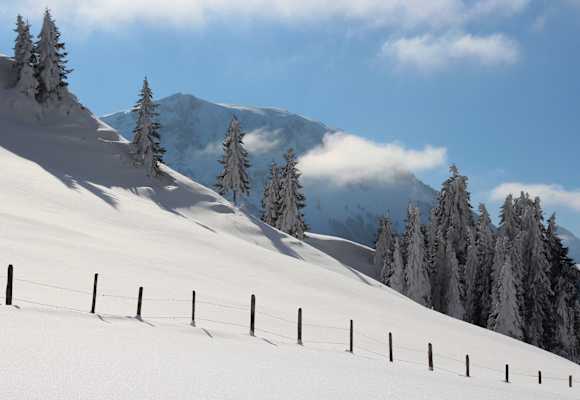 Mit Schneeschuhen durch den Winter