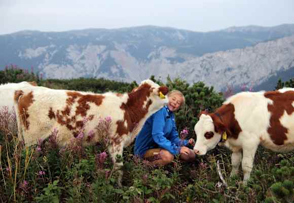 Mathias Kautzky Auf der Alm 