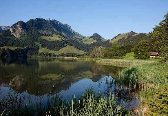 Schwarzsee Freiburg