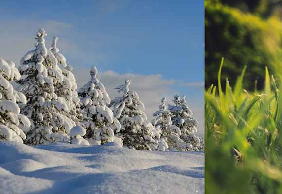 Spätwinter