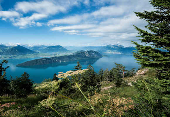 Charakteristisch für den Vierwaldstättersee ist seine besondere Form. – Wie ein Fjord ruht der tiefblaue See majestätisch zwischen Bergen. 