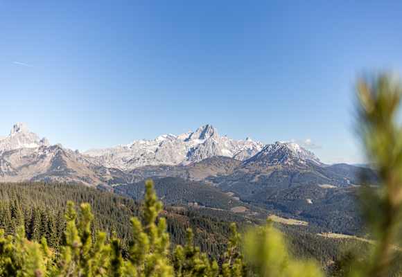 Blick vom Gerzkopf auf das Dachsteinmassiv