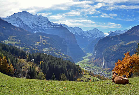 Wengen ist auf einer Sonnenterrasse über dem Lauterbrunnental gelegen. 