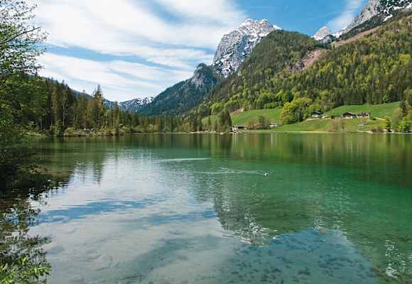 Auf Entdeckungstour im Zauberwald am Hintersee bei Ramsau