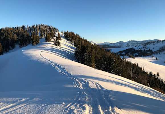 Feierabendrunde auf´s Zwölferhorn