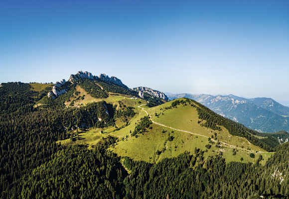 Berglandschaft Bergader Privatkäserei