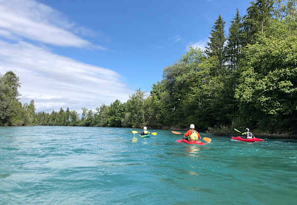 Kanutour auf der Aare