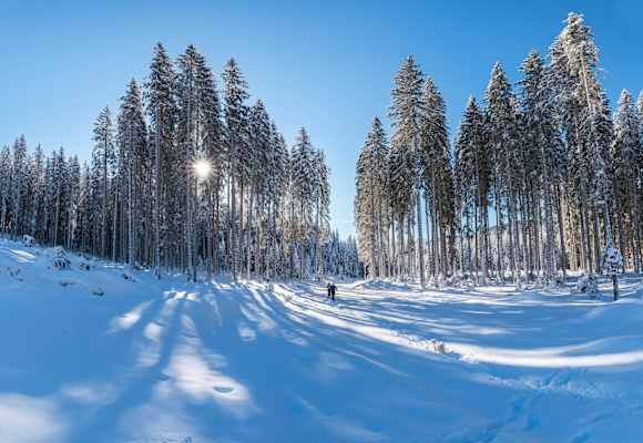 Winterwandern vor schönster Kulisse