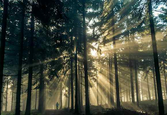 Taunus in Hessen