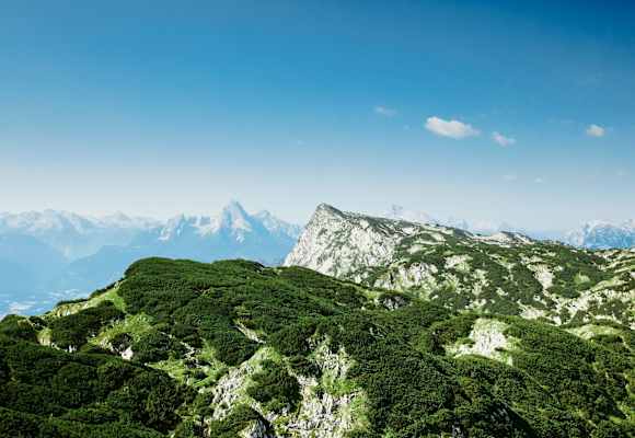 Gipfelblick 