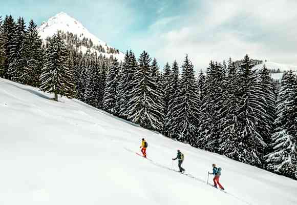 Skitourengeher wandern über die Schweizer Alpen