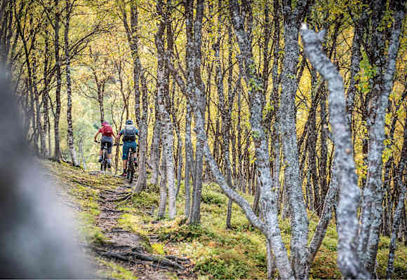 Bikefex Kalender 2021