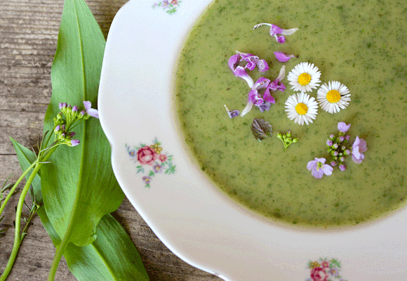 Brennnessel Suppe mit essbaren Blüten