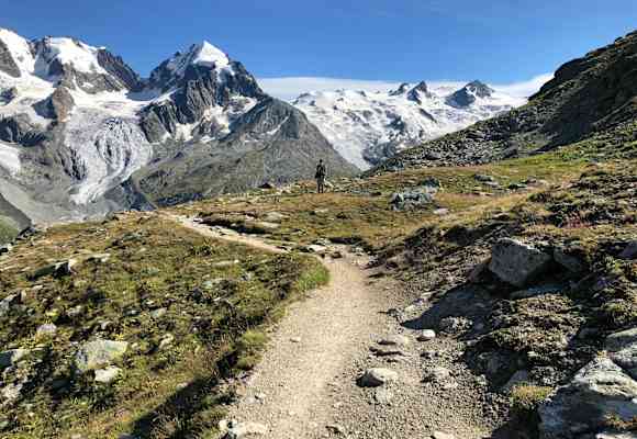 Bernina