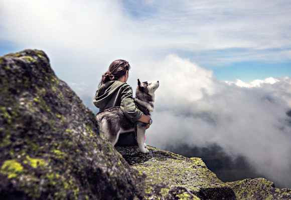 Husky mit Mensch auf Berggipfel 
