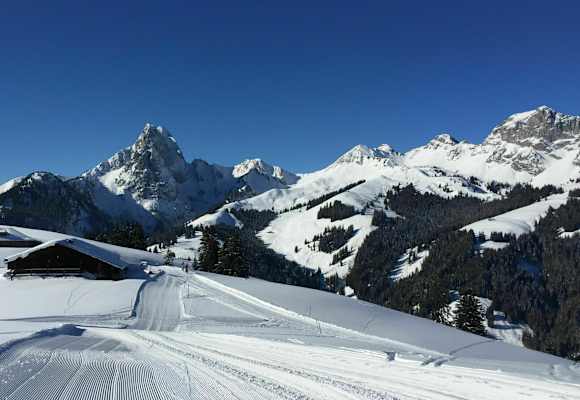 Schneeschuhtour am Gstaader Hausberg Eggli im Kanton Bern