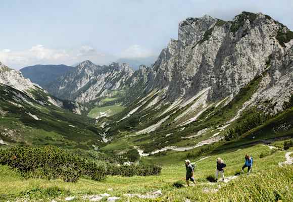 Luchs Trail Nationalpark Kalkalpen