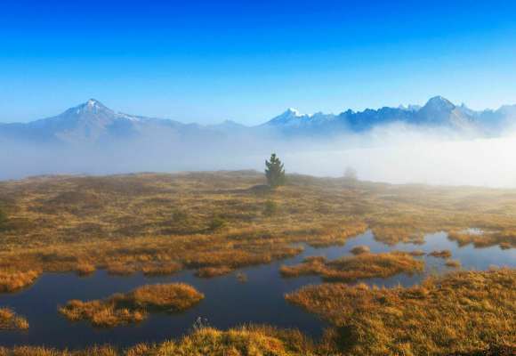 Welttag der Feuchtgebiete: Hochmoor in Tirol