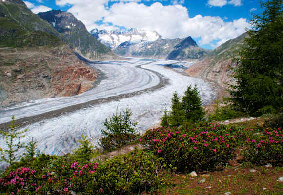 Fiescheralp - Riederalp: Grosser Aletschgletscher in den Berner Alpen im Wallis
