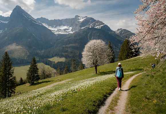 KI Berglandschaft