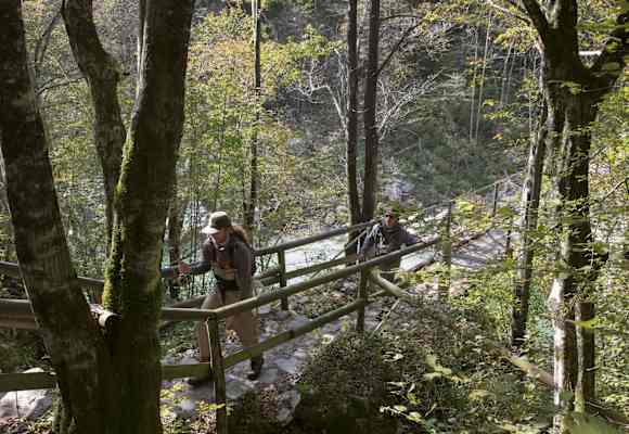 Fliegenfischer wandern durch den Bach