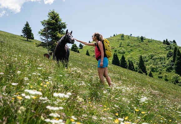 Auf der Wanderung in Dromaè können mit etwas Glück Pferde beobachtet werden.
