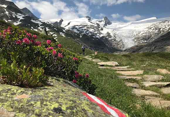 Mehrtägige Wanderungen im Hochgebirge, wie der Osttiroler Adlerweg, sind nur dank des Hüttennetzes möglich. 