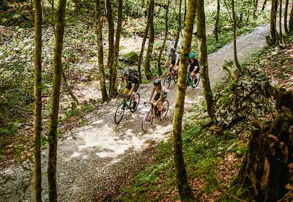 Die Gravelbike-Gruppe auf einem Forstweg.