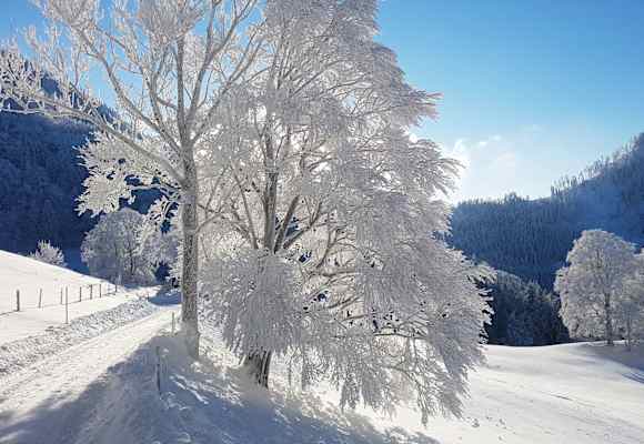 Winterwandern: Oberösterreichische Voralpen