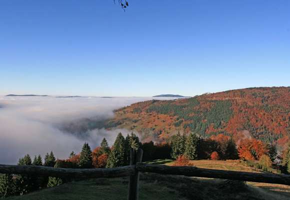 Am Hasenhorn