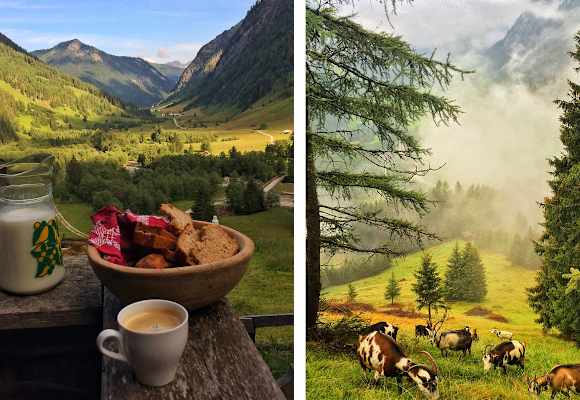 Die Schule der Alm: Helgas Alm auf der Nockeralm im Valsertal 