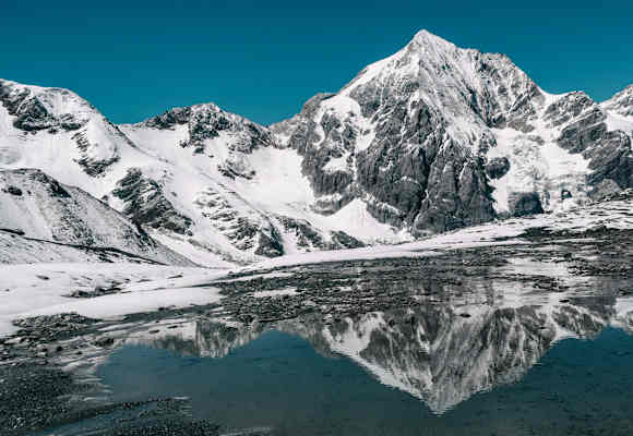Ortler
