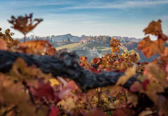 Herbstliche Wanderung durch die Heiligengeistklamm an der südsteirischen Weinstraße bei Leutschach