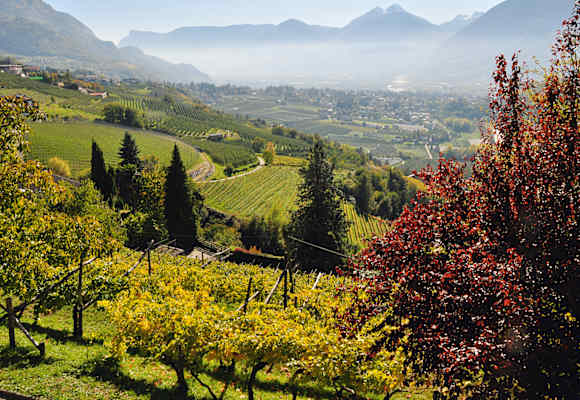 Herbstgenuss rund um Meran