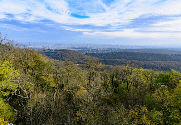 Blick von der Habsburgerwarte auf dem Hermannskogel über die Dächer Wiens