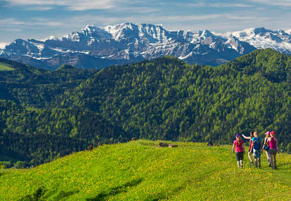 Aussichtsreiches Wandern auf dem Hörnli (1.133 m) vor dem Panorama der Appenzeller Alpen