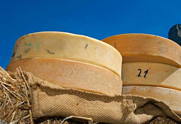 Kulinarisches Wandern: Schweizer Käse