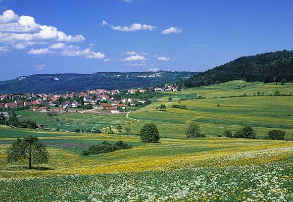 Klippeneck-Runde: Hausen ob Verena auf der Schwäbischen Alb in Baden-Württemberg